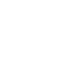 ico1n